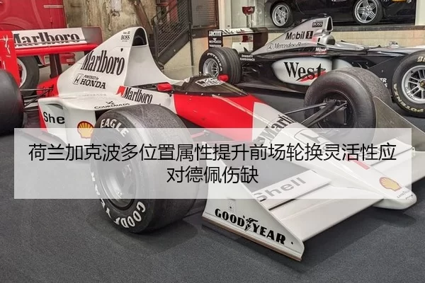 he-lan-jia-ke-bo-duo-wei-zhi-shu-xing-ti-sheng-qian-chang-lun-huan-ling-huo-xing-ying-dui-de-pei-shang-que-2-543.jpg